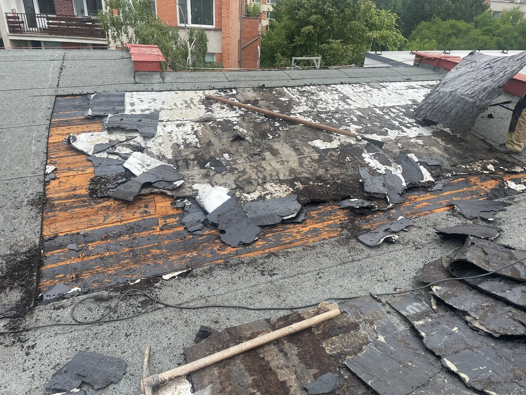 IMG_1465.HEIC_compressed