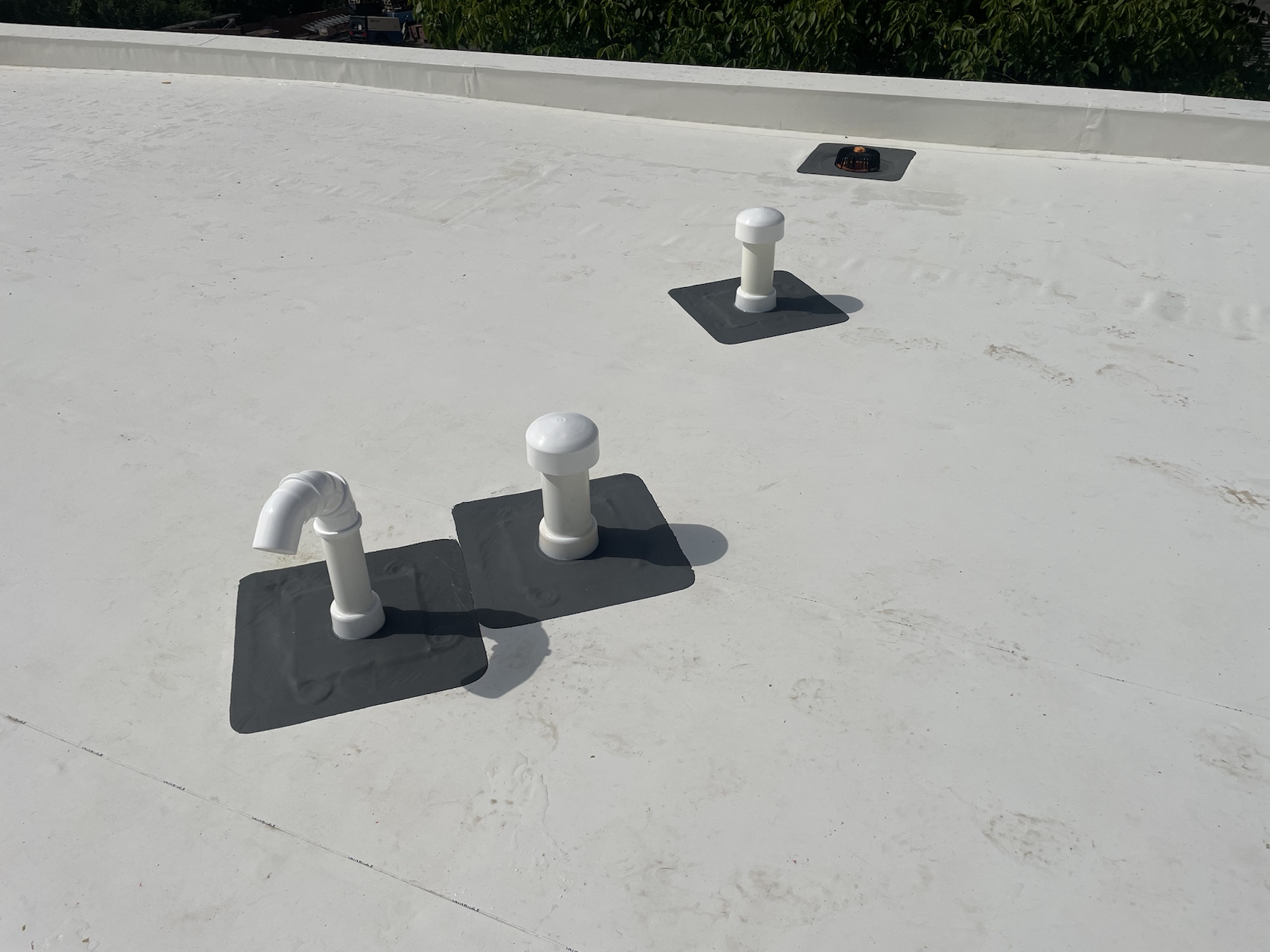 IMG_2533.HEIC_compressed