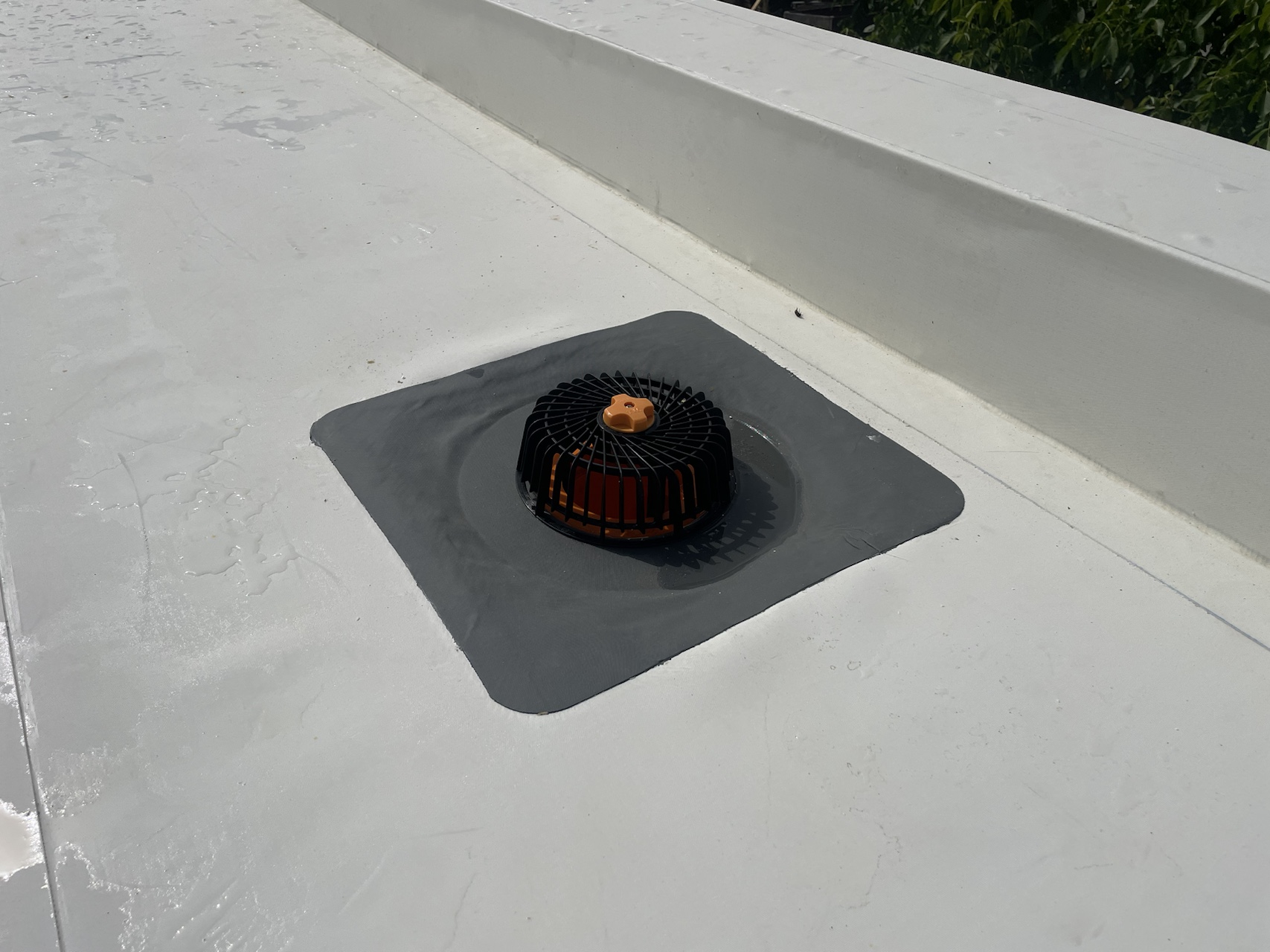 IMG_2534.HEIC_compressed